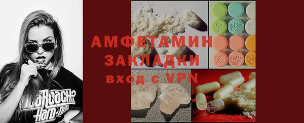 шишки Гусев
