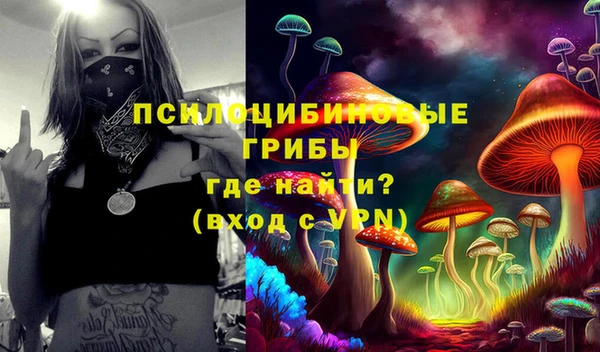 шишки Гусев