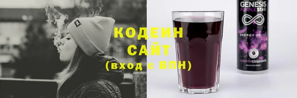 прущие крисы Горняк