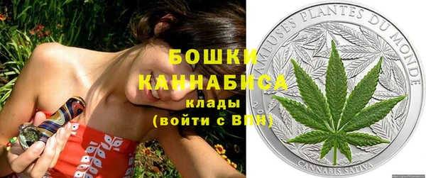 шишки Гусев