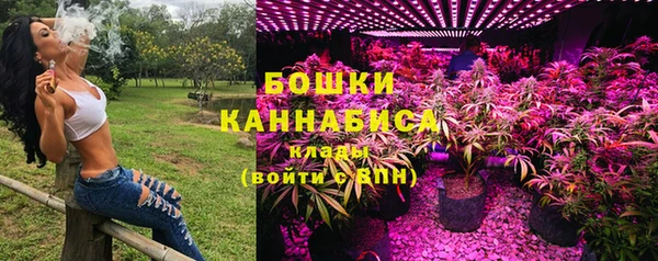 шишки Гусев