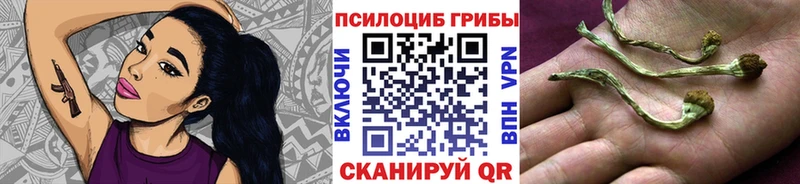 Купить закладки  Боготол  Галлюциногенные грибы GOLDEN TEACHER 